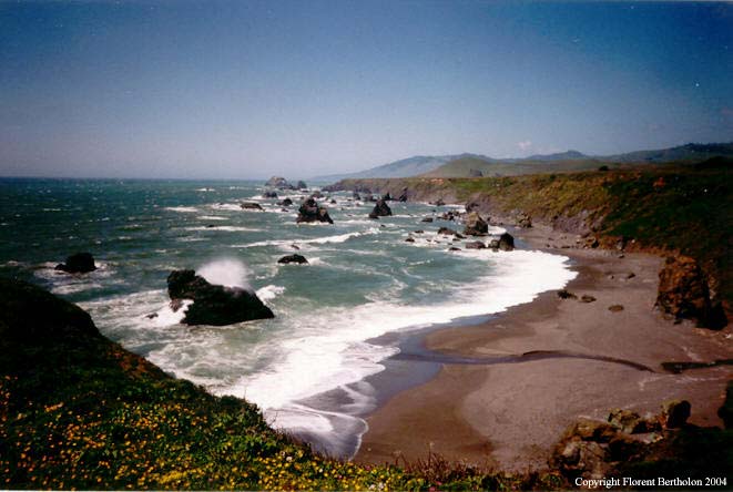 La Californie: Océan